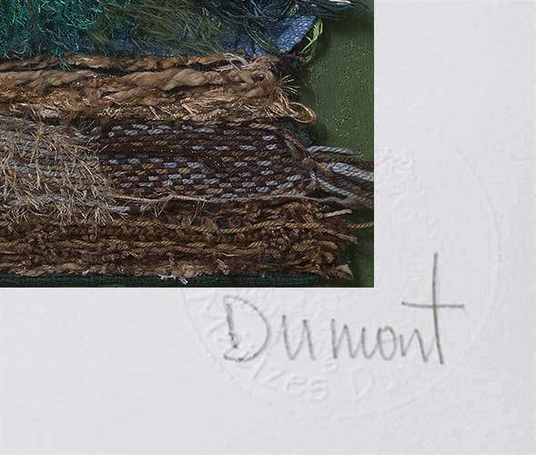 São Francisco das águas e dos seres