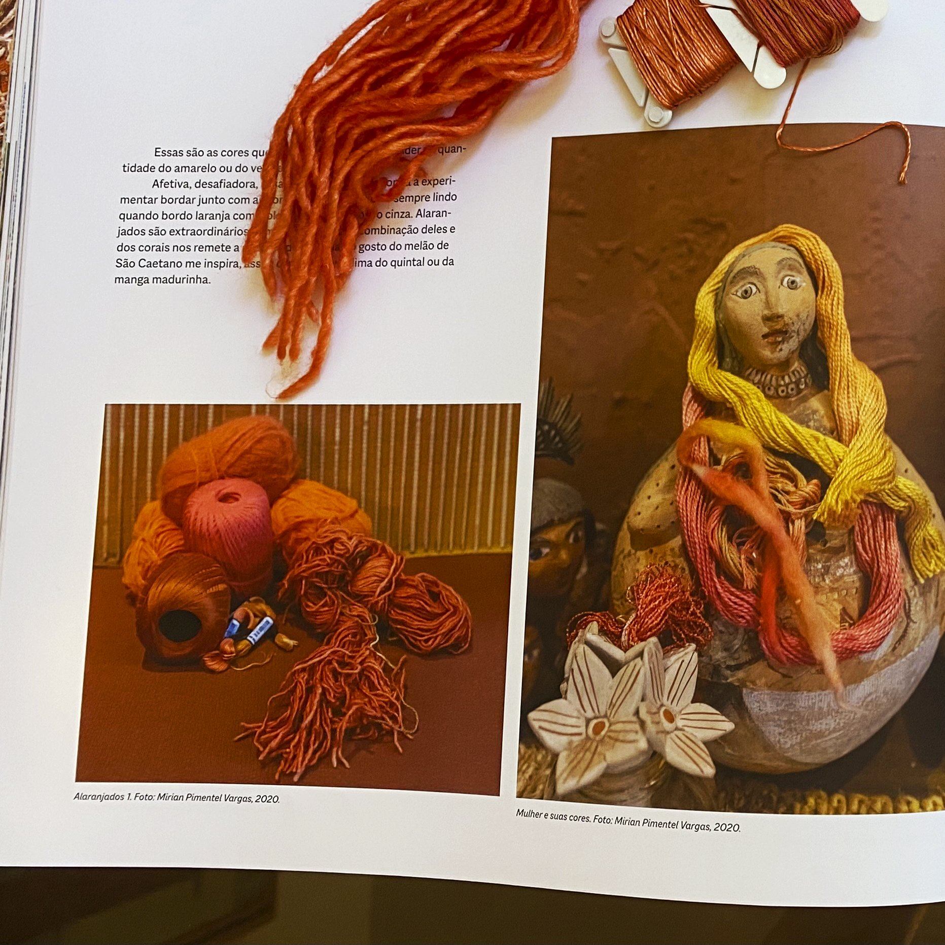 Livro - Harmonia das cores nos fios do bordado